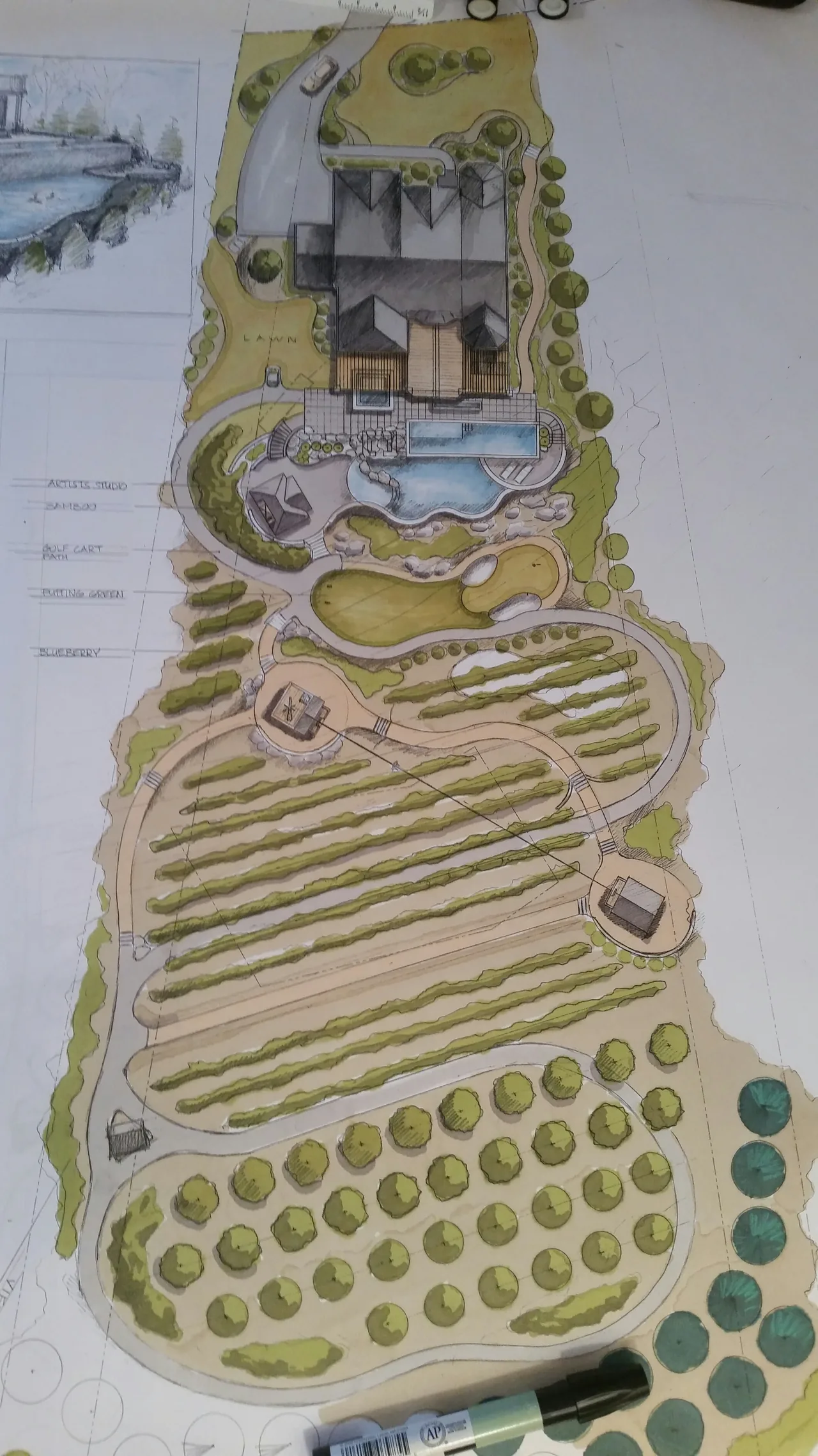 Hearthstone hand-drawn watercolor concept rendering Hand-painted watercolor master plan rendering for a luxury backyard pool and outdoor living project