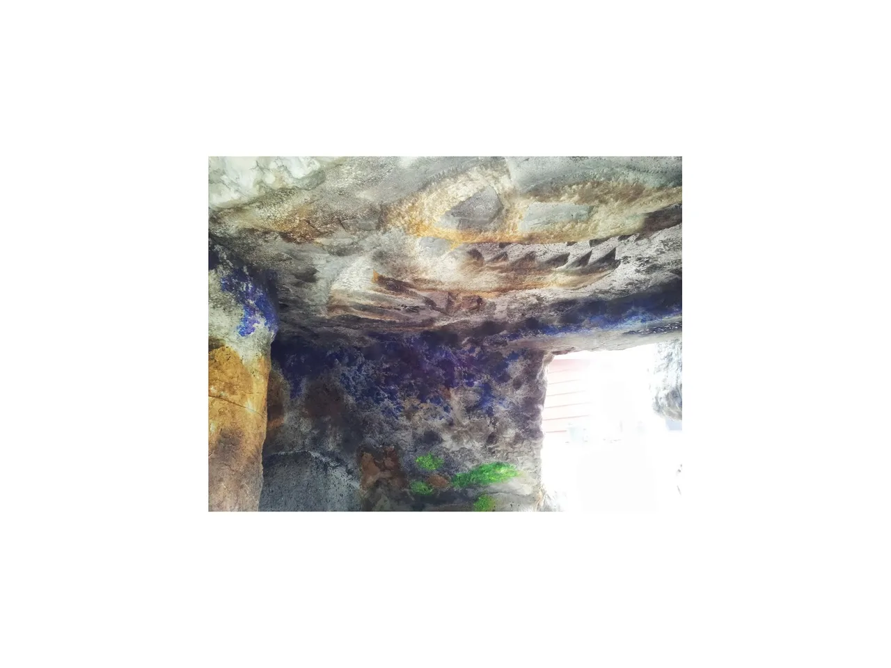 Underwater view of pool floor with natural stone texture and algae growth, showing curved architectural detail